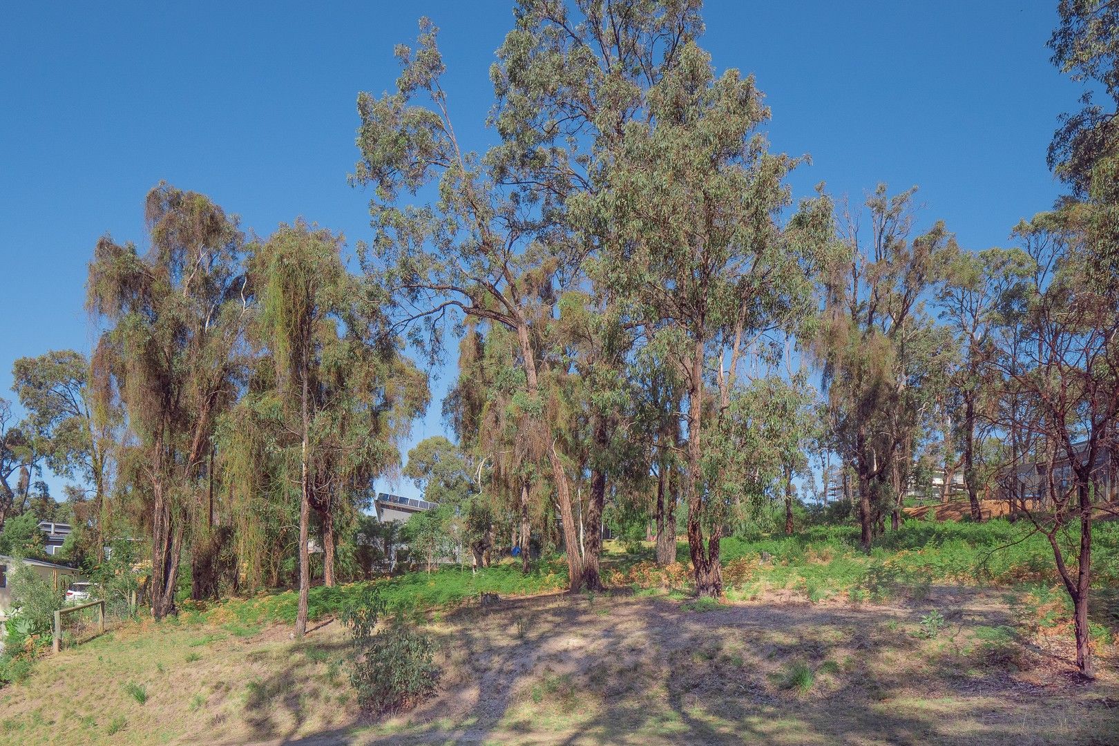 Vacant land in 19 Narani Way, FAIRHAVEN VIC, 3231