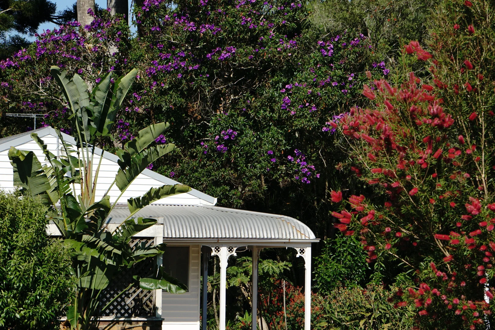 Image 4
