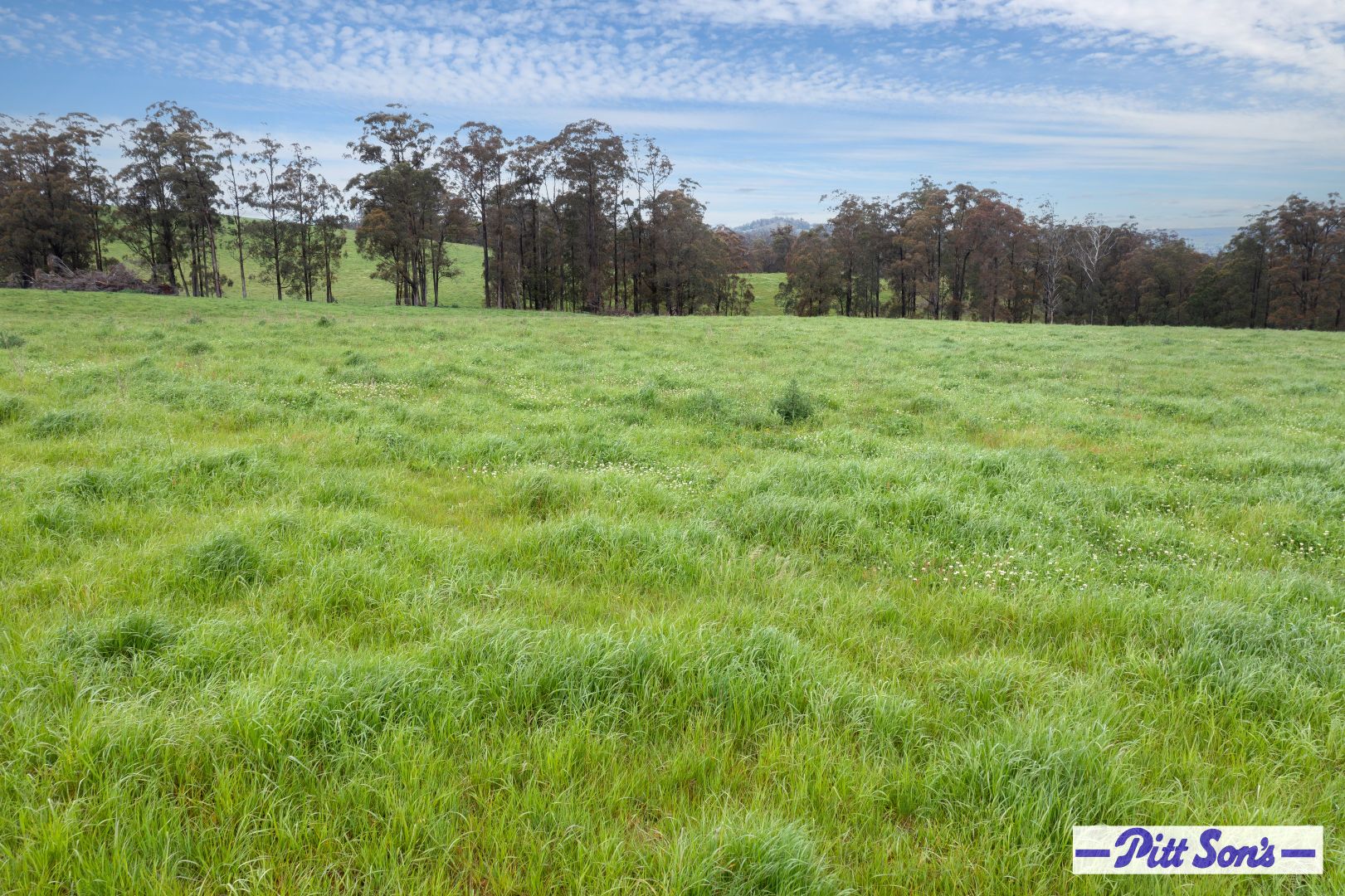 1275 Tops Road, Walcha NSW 2354, Image 2