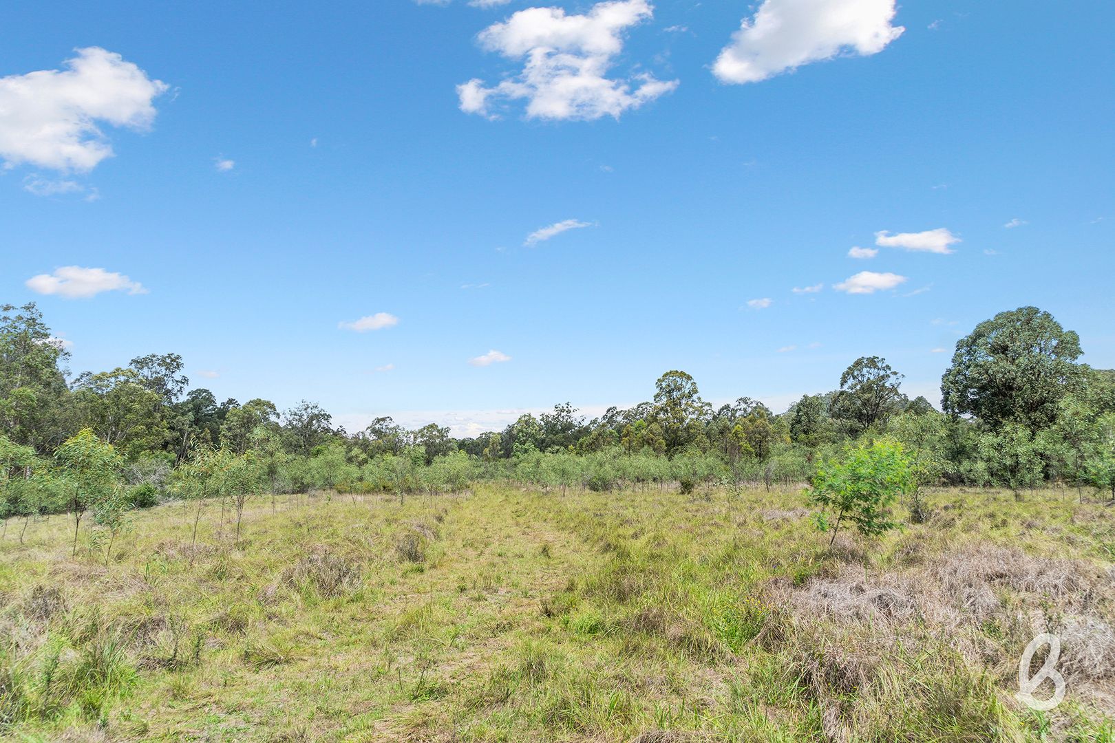 Site 7 Glendonbrook Road, Singleton NSW 2330, Image 2