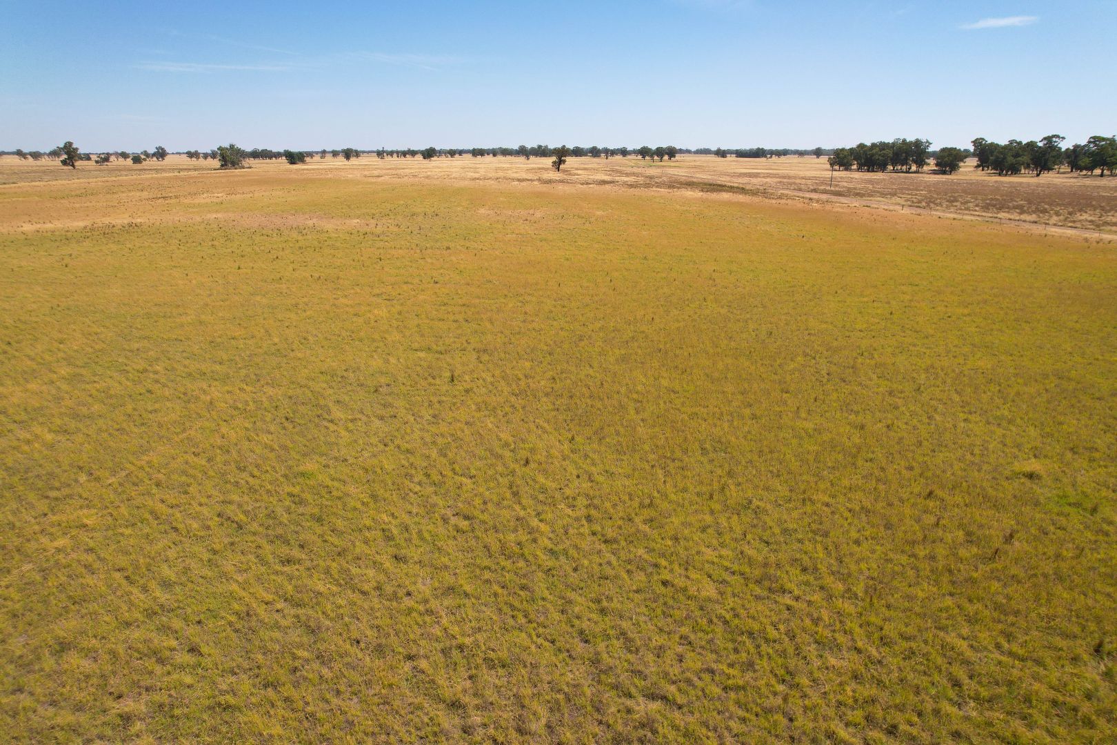 1111 Newell Highway, Wyalong NSW 2671, Image 2