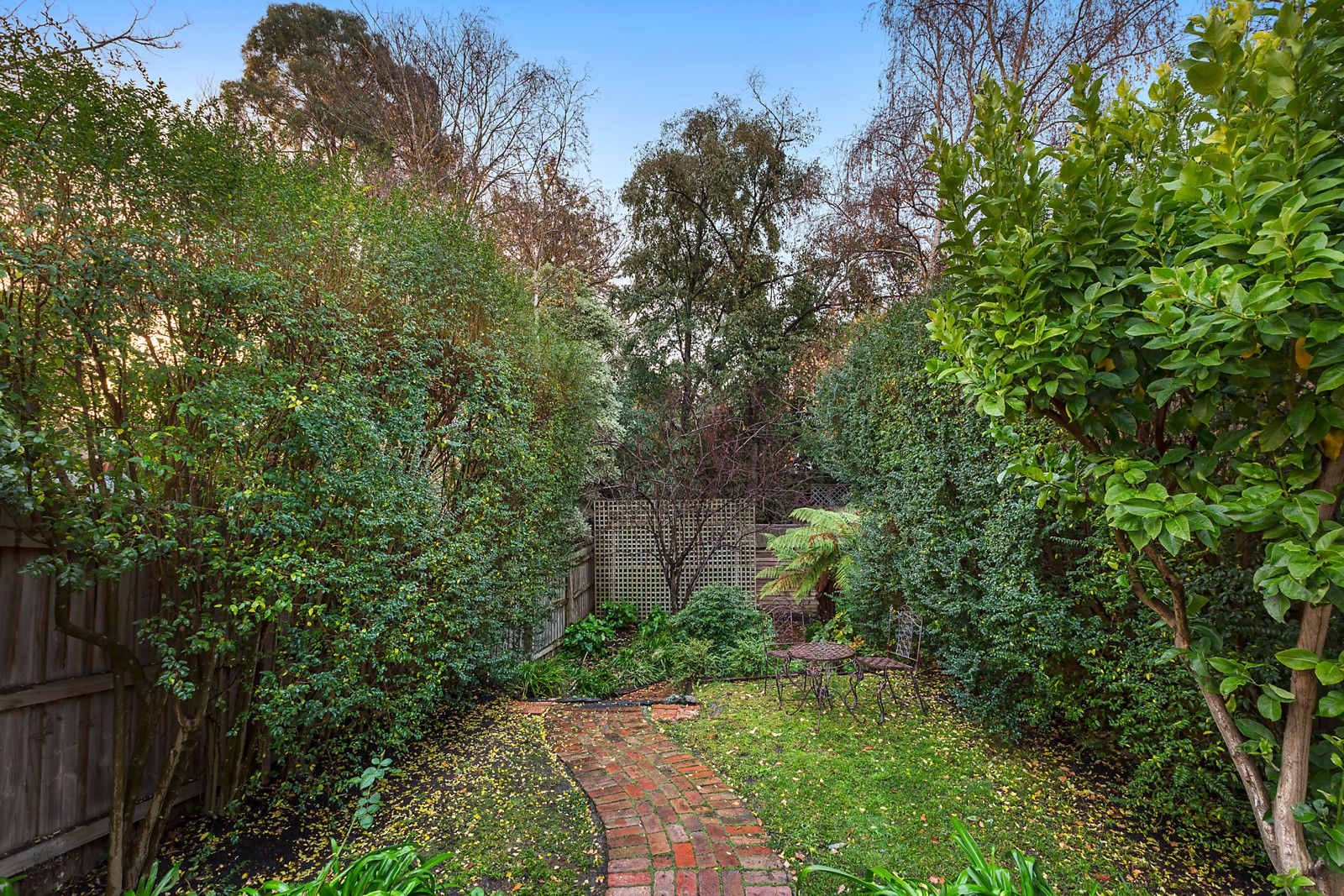 19 Lingwell Road, Hawthorn East VIC 3123, Image 1