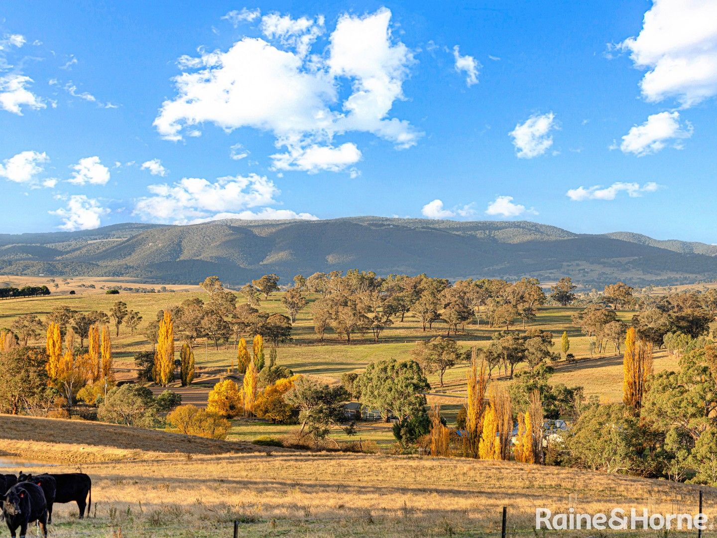 69 Bloom Hill Road, O'Connell NSW 2795, Image 0