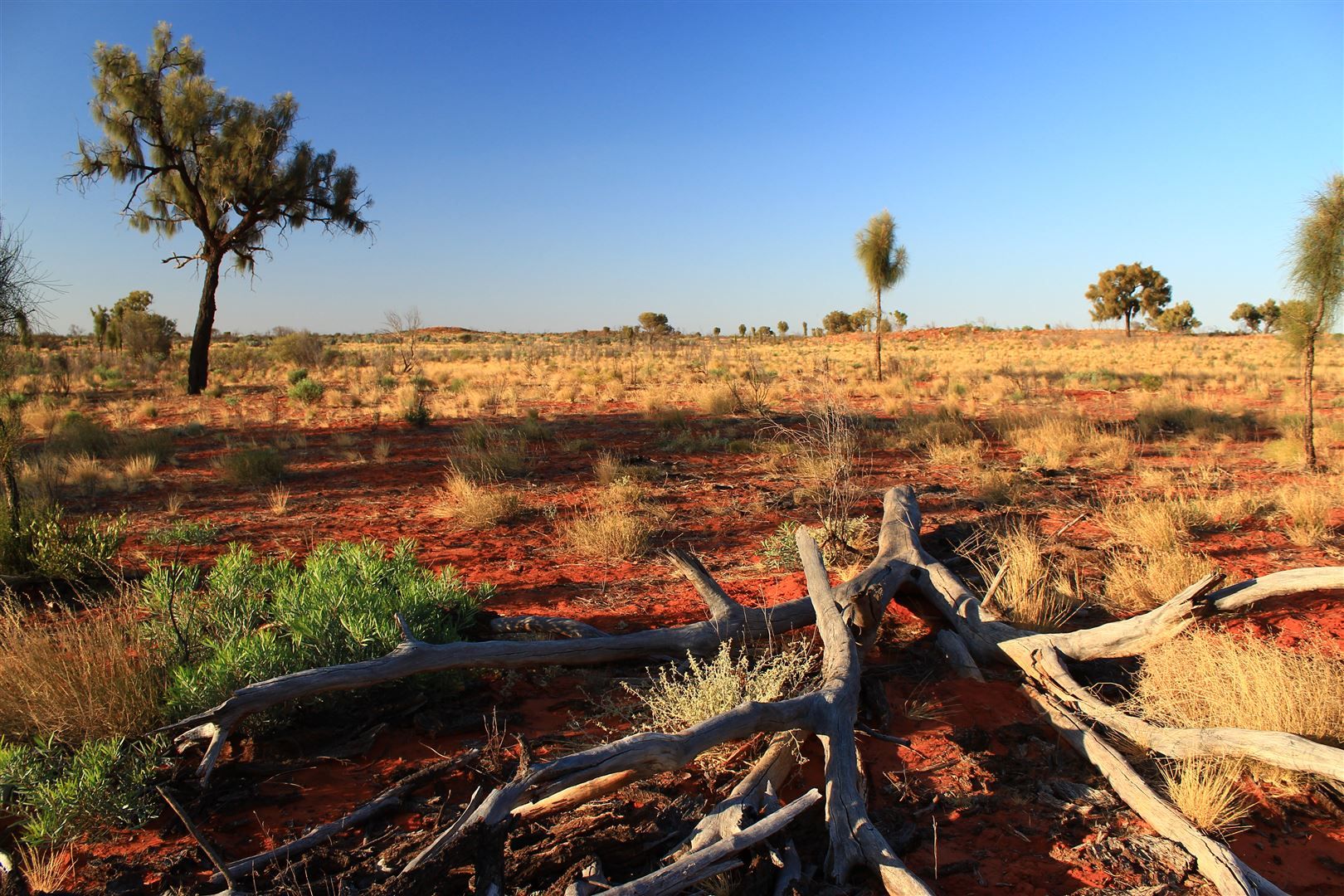 NT Portion 7723 Ooraminna Oaks, Hale via, Alice Springs NT 0870 House