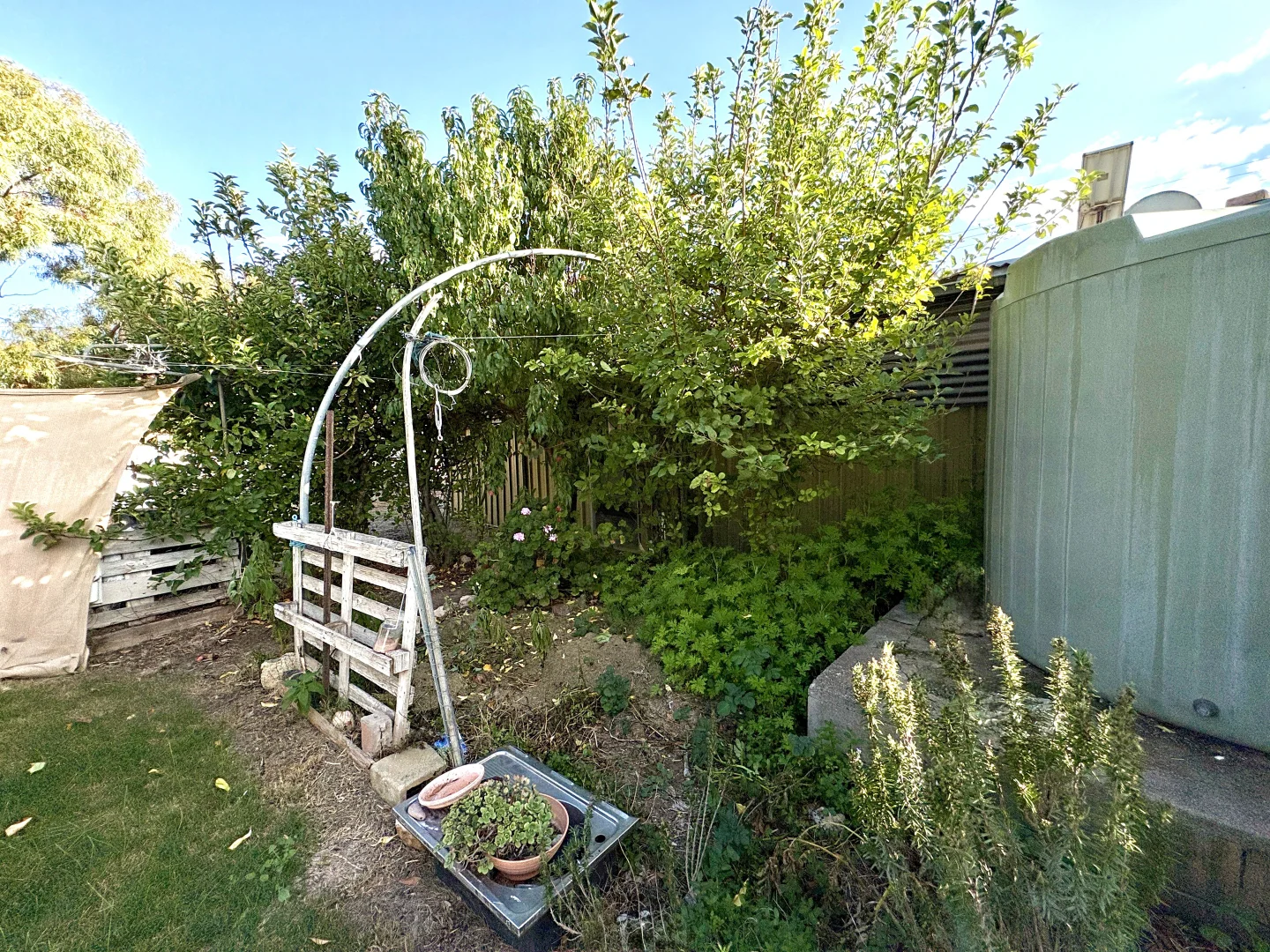 Image 27