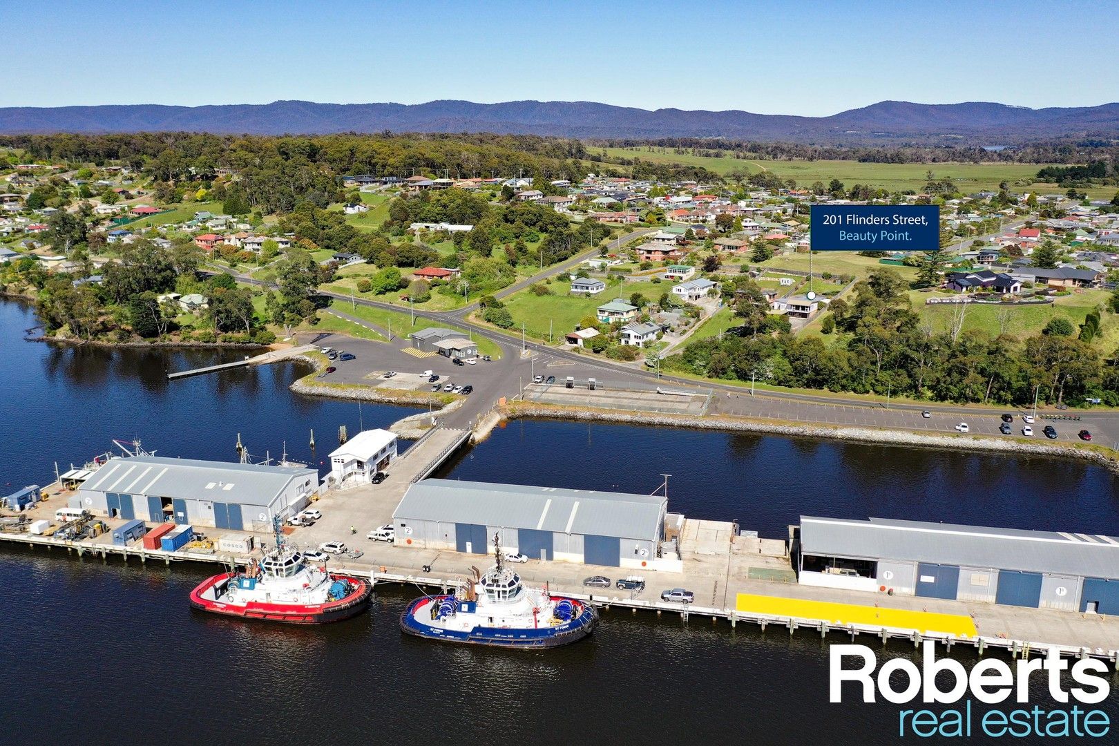 201 Flinders Street, Beauty Point TAS 7270 Domain