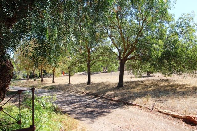 Lot 80 Kingston Tce, Auburn SA 5451, Image 1