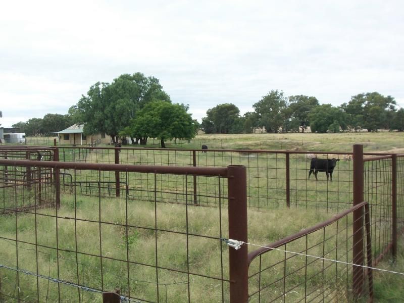 "THEBLAND" HOSKINS STREET, TEMORA NSW 2666, Image 1