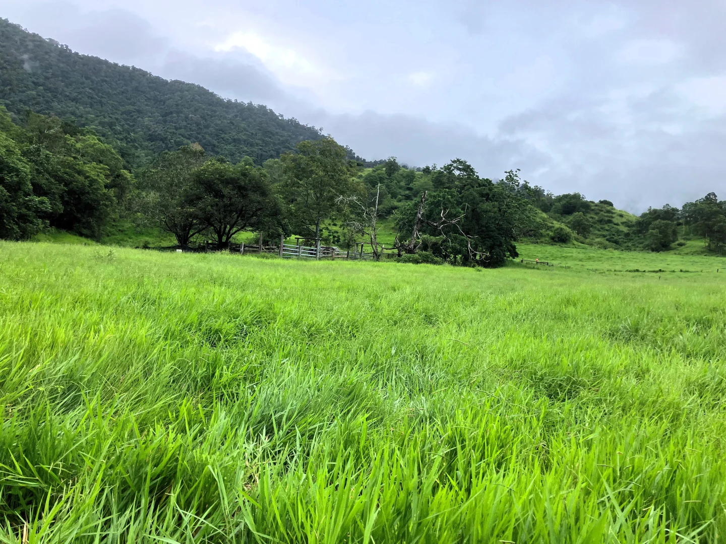 Additional image 19 of Gorge Road, Finch Hatton QLD 4756