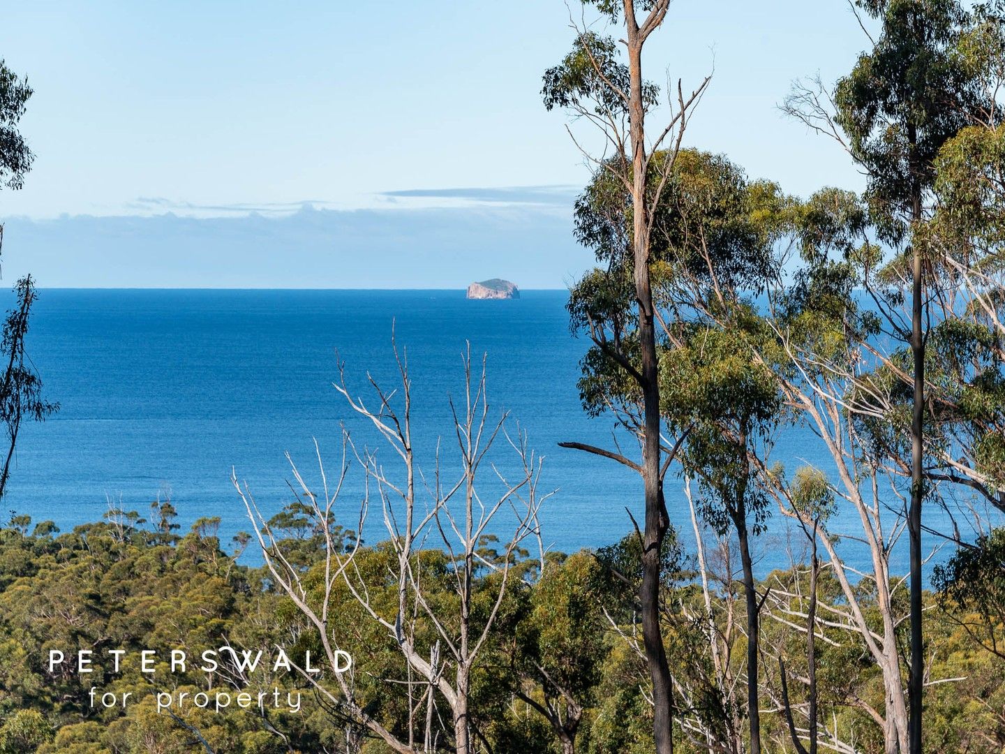 298 Pirates Bay Drive, Eaglehawk Neck TAS 7179 Domain