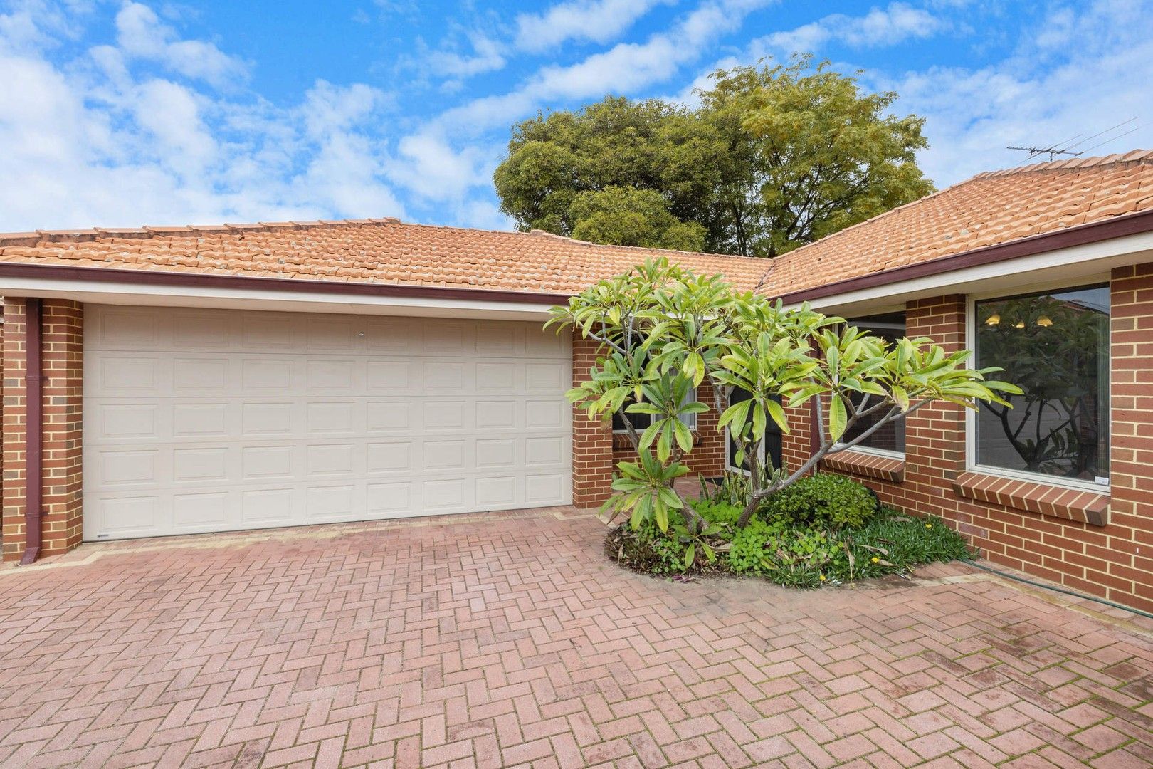 3 bedrooms House in 63A London Street MOUNT HAWTHORN WA, 6016