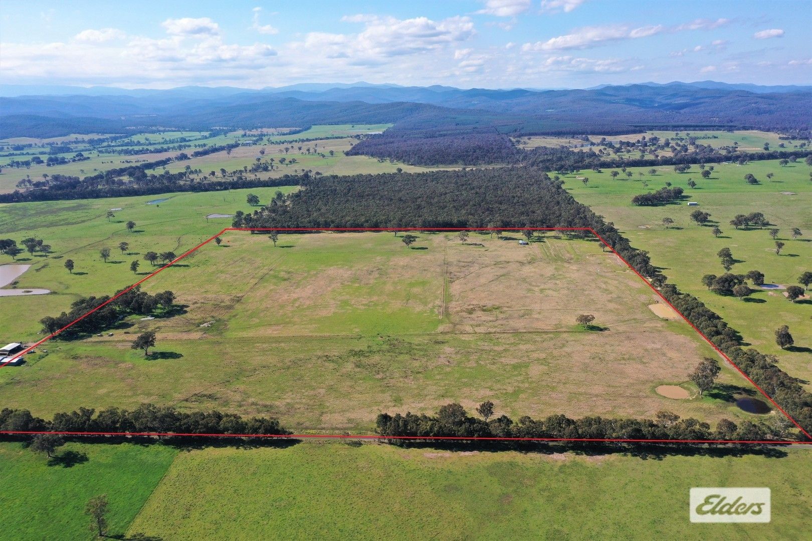 368 Road, Bushy Park VIC 3860 House for Sale Domain