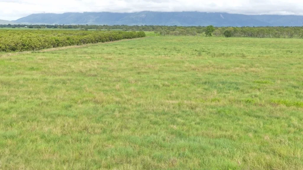 Additional image 19 of 3 Comiskey Road, Giru QLD 4809