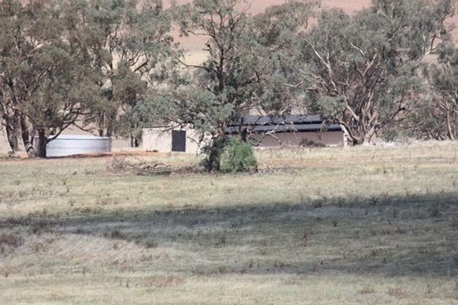 Picture of 1 Dart Hill Lane, YATHELLA NSW 2650