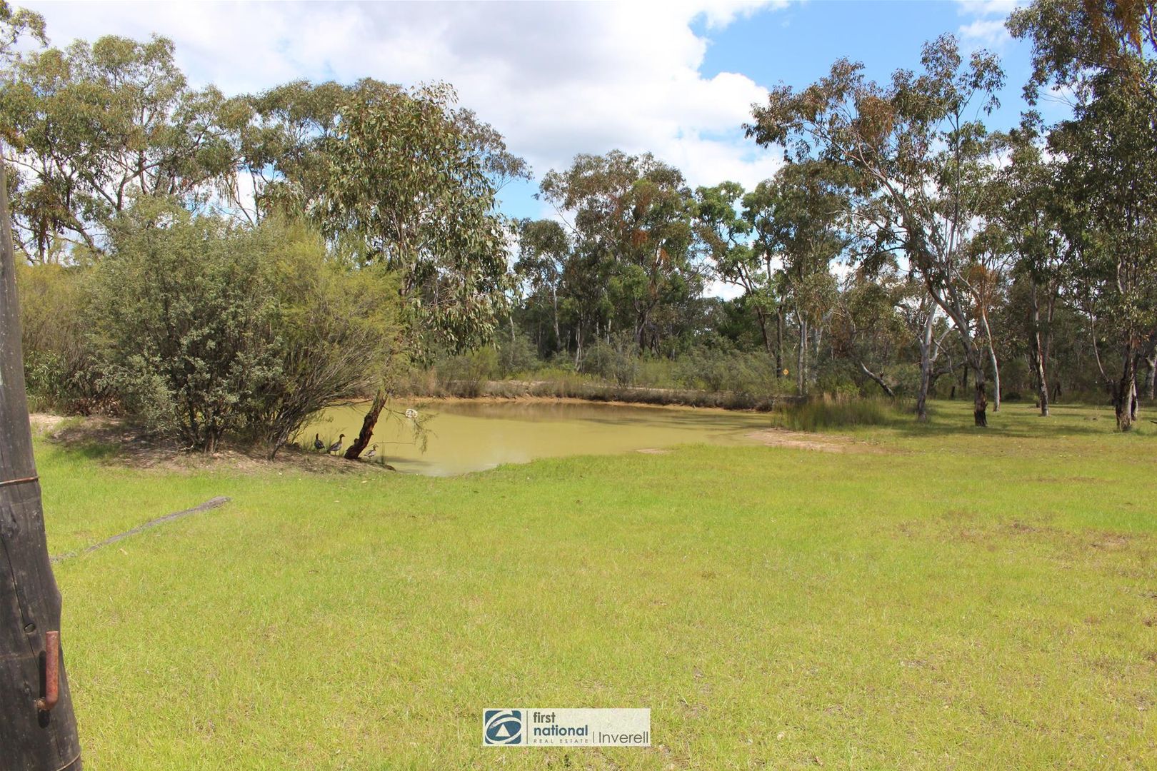 329 Old Stannifer Road, Gilgai NSW 2360, Image 1