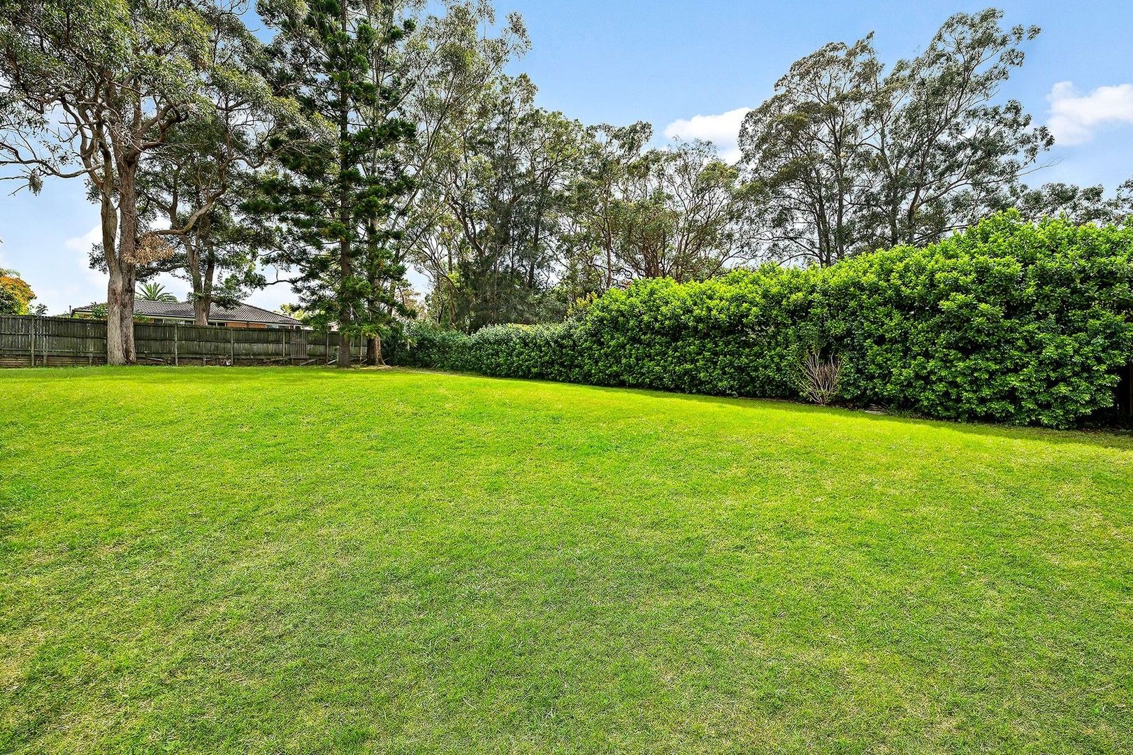 53 Chester Street, Epping NSW 2121, Image 0