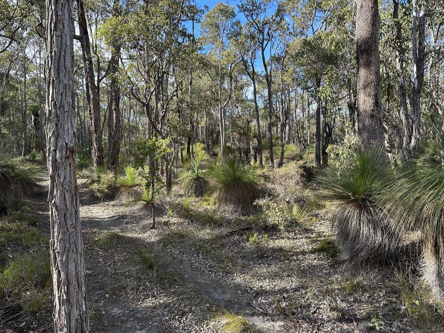 Lot 20 Asplins Road, Benjinup WA 6255, Image 0