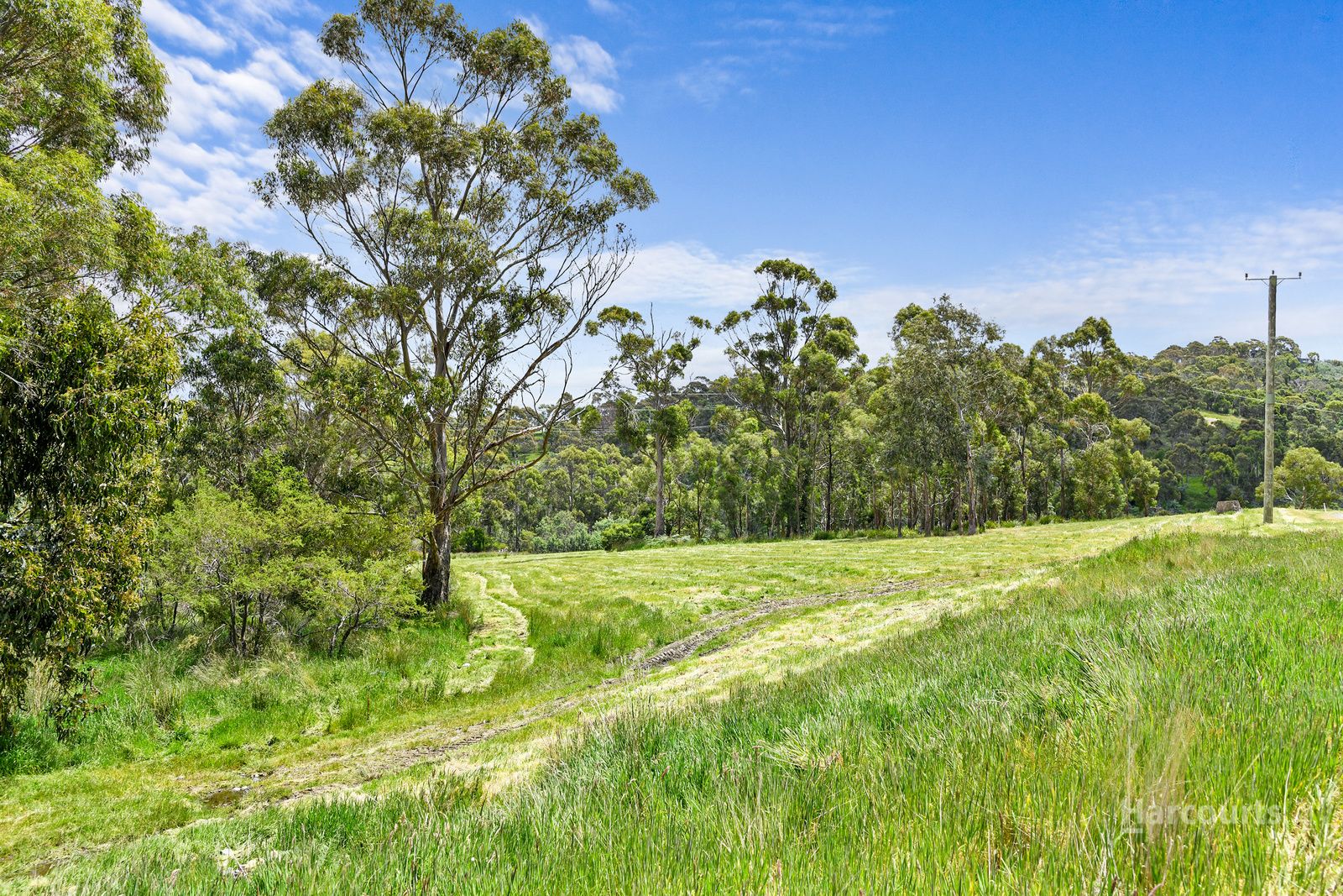 Lot 3/12 Fallow Drive, Cambridge TAS 7170, Image 2