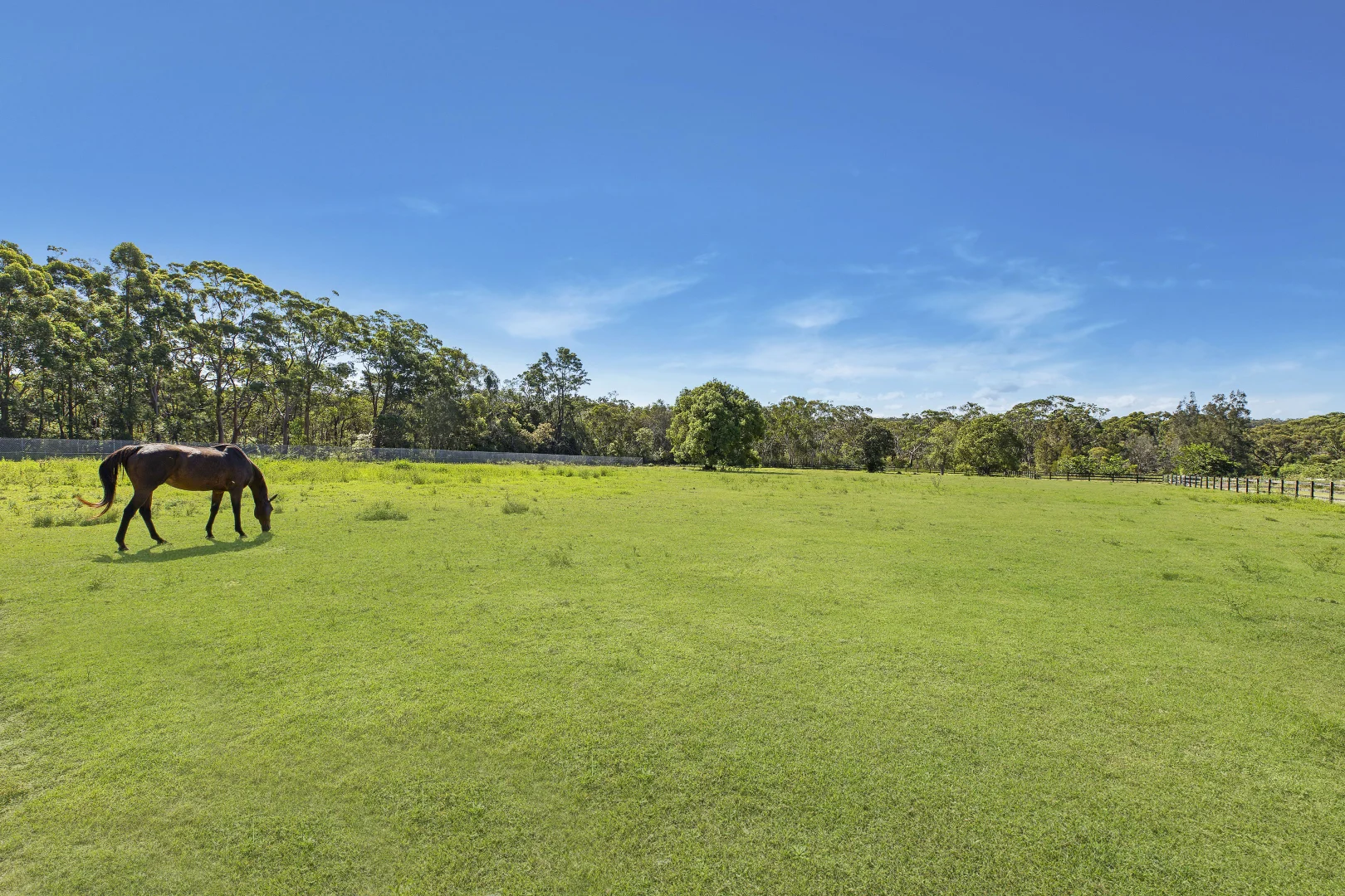 Additional image 10 of 3 Jones Road, Calga NSW 2250