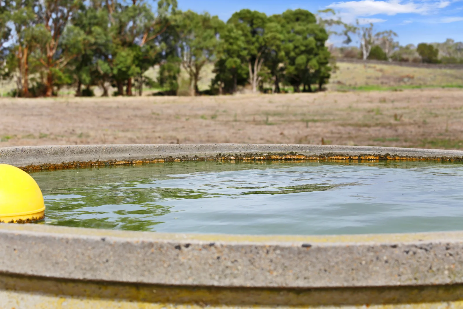 Image 32