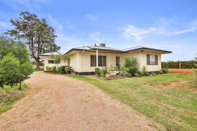 Picture of 19 Lowan Avenue, RED CLIFFS VIC 3496