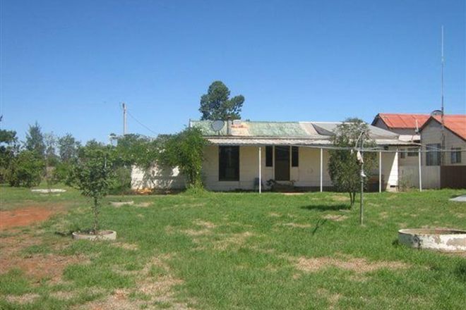 Picture of 12 Mons Street, MERRIWAGGA NSW 2652