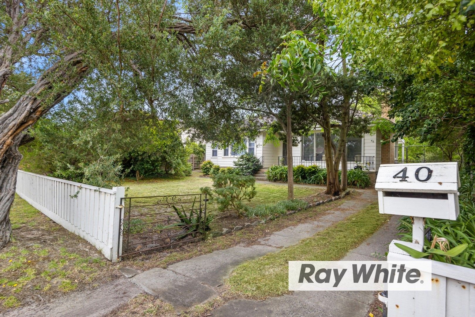 40 Wilkinson Street, Tootgarook VIC 3941, Image 1