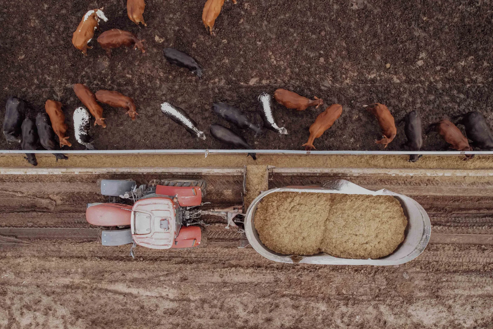 Additional image 9 of 2687 Dawson Developmental Road, Springsure QLD 4722