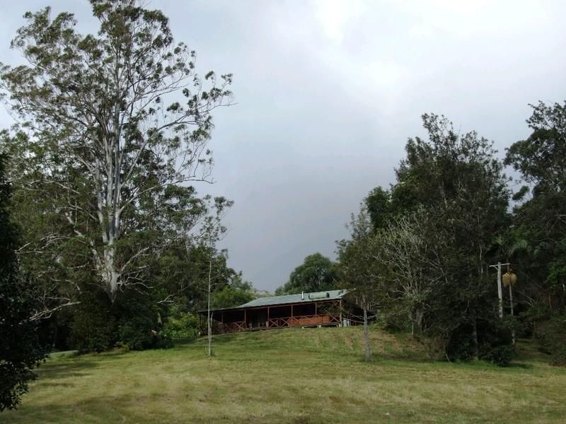 651 Dairyville Road, Upper Orara NSW 2450, Image 0