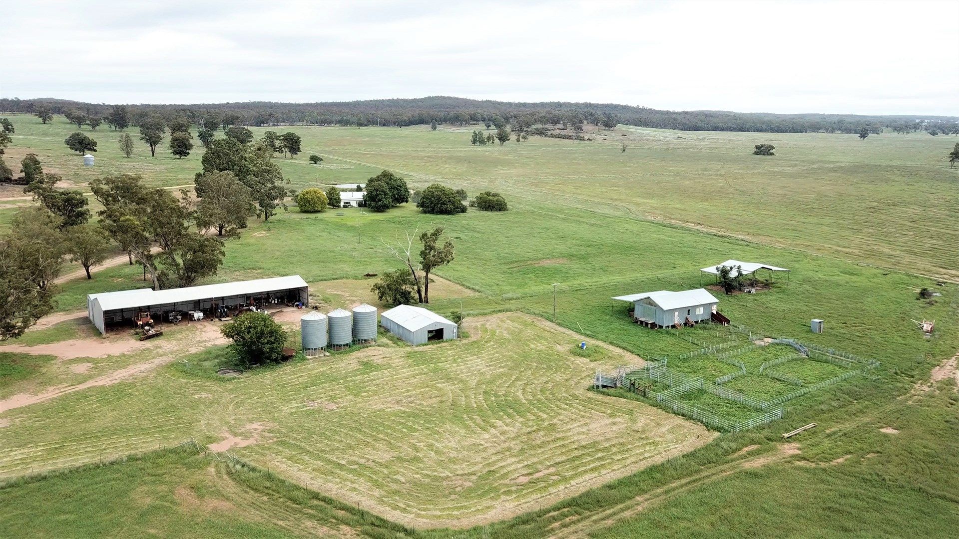 'Appletree Flat' 1864 Castlereagh Hwy, Mendooran NSW 2842, Image 0