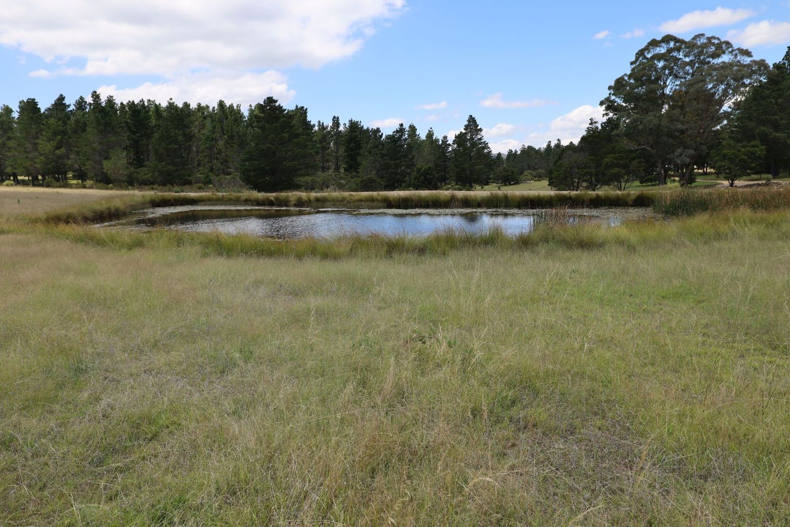 Oallen Road, Nerriga NSW 2622, Image 1