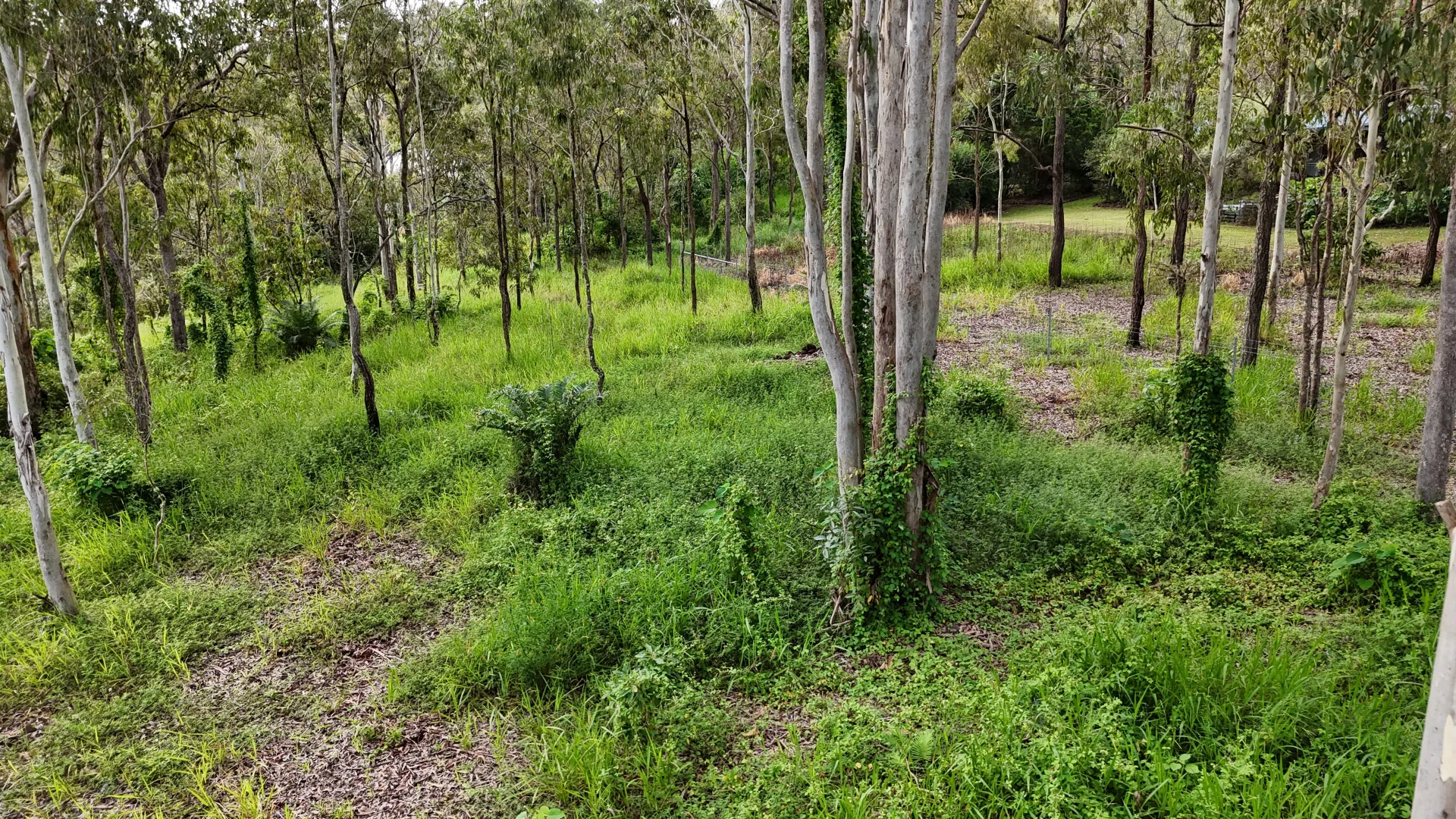 Additional image 5 of 921 Bulankoff Road, Tolga QLD 4882