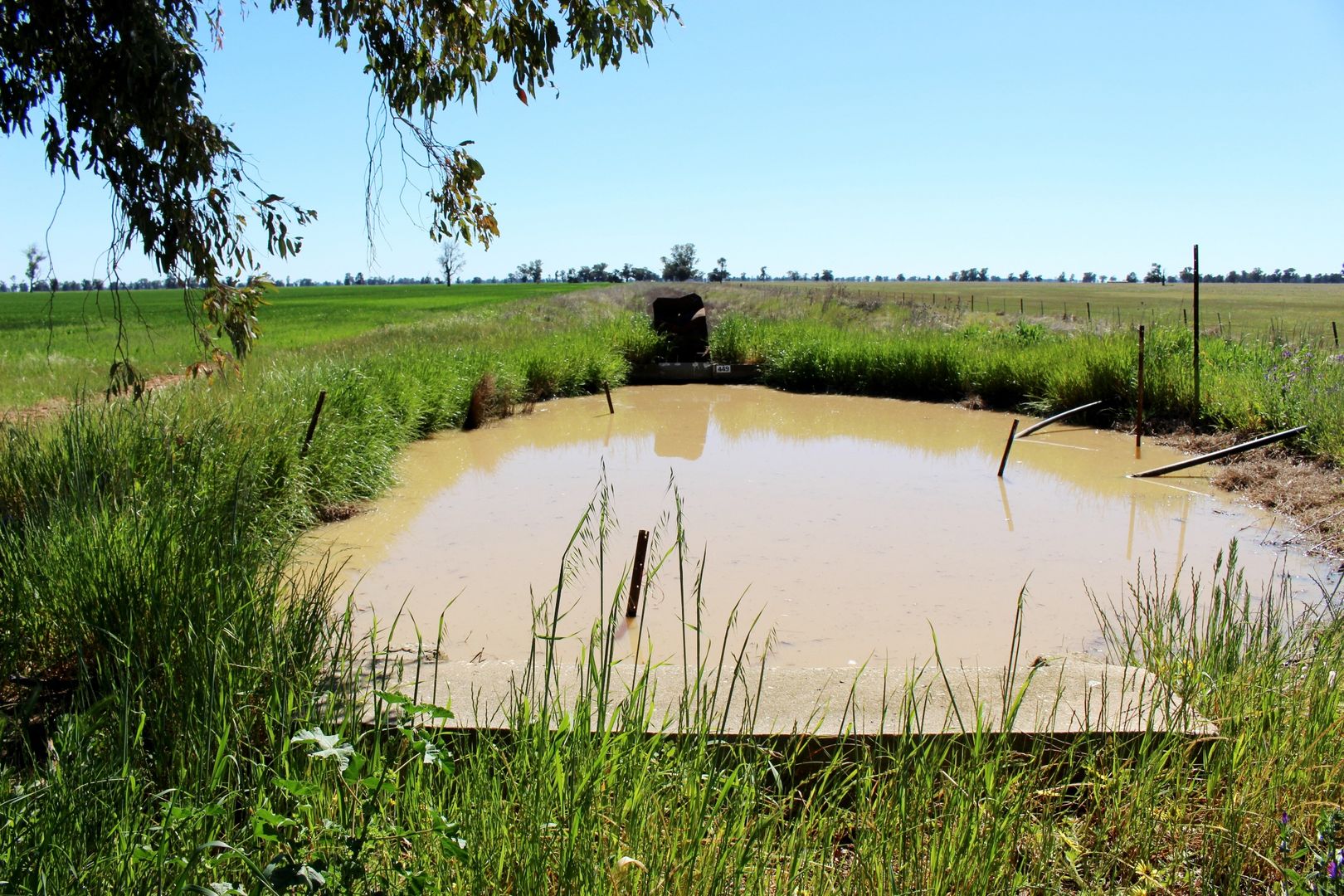 "Lochiel" Woodstock Road, Berrigan NSW 2712, Image 1