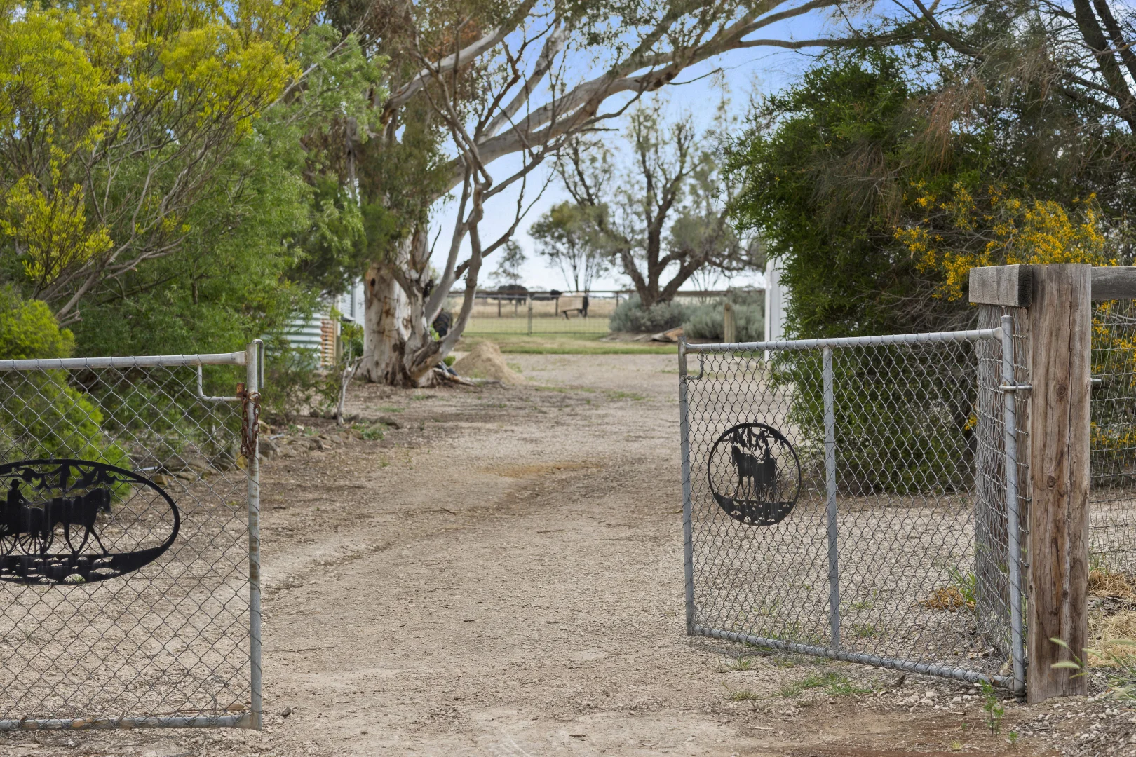 Image 46