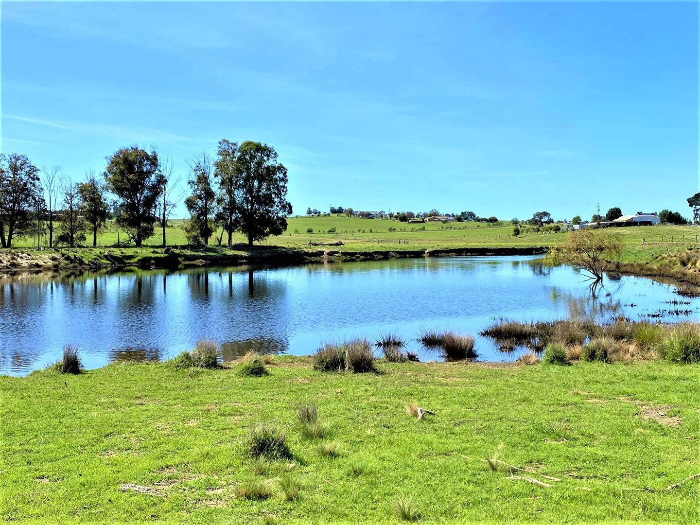 1235 Pomeroy Road, Pomeroy Property History & Address Research Domain