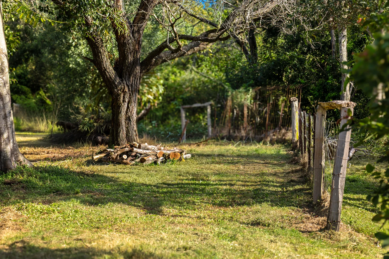 Additional image 19 of 62 Old Mill Road, Carters Ridge QLD 4563