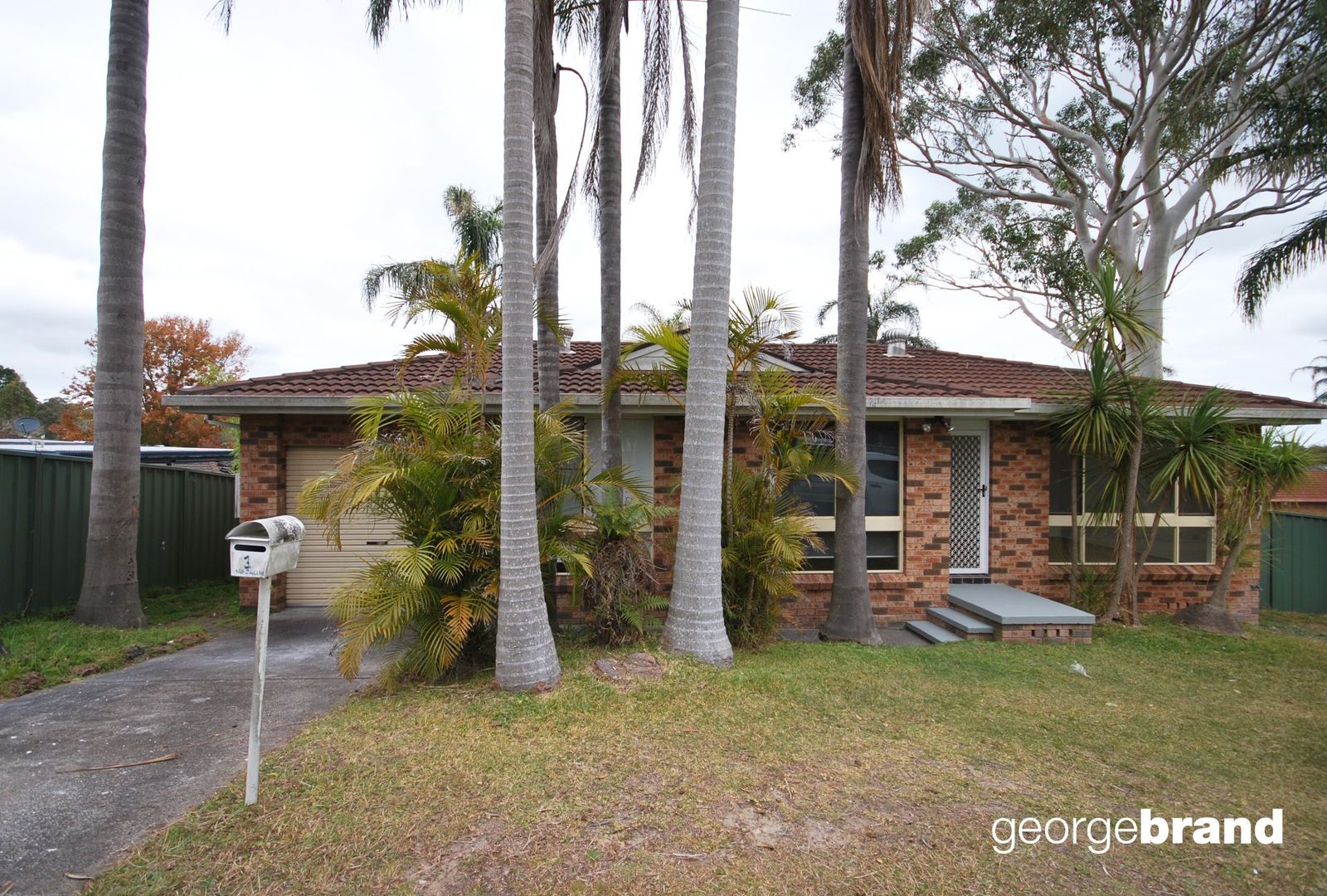 1 Whitehead Close, Kariong NSW 2250 House For Rent Domain