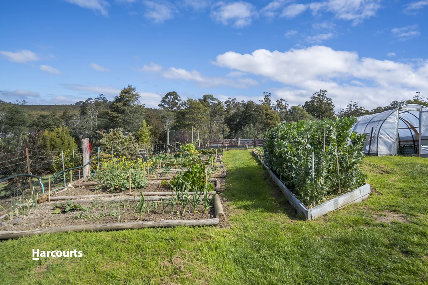 40 Bolton Road, Raminea TAS 7109, Image 2