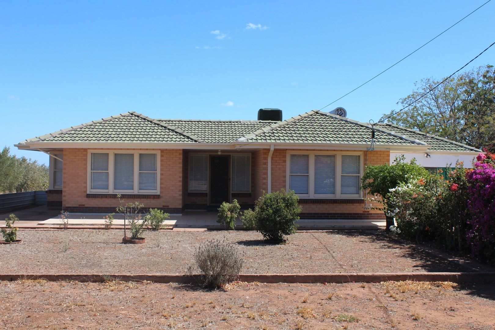 41 Blight Road, Nelshaby SA 5540, Image 0