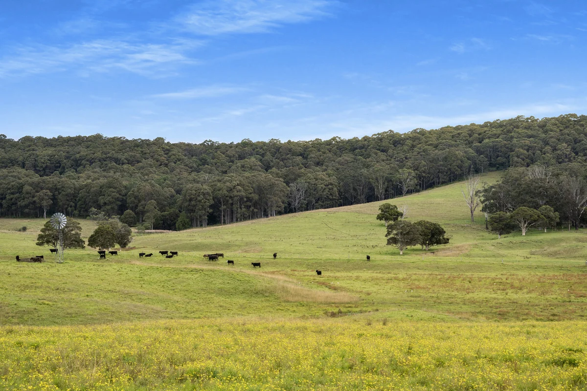 34A Roxbrough Road, Far Meadow NSW 2535