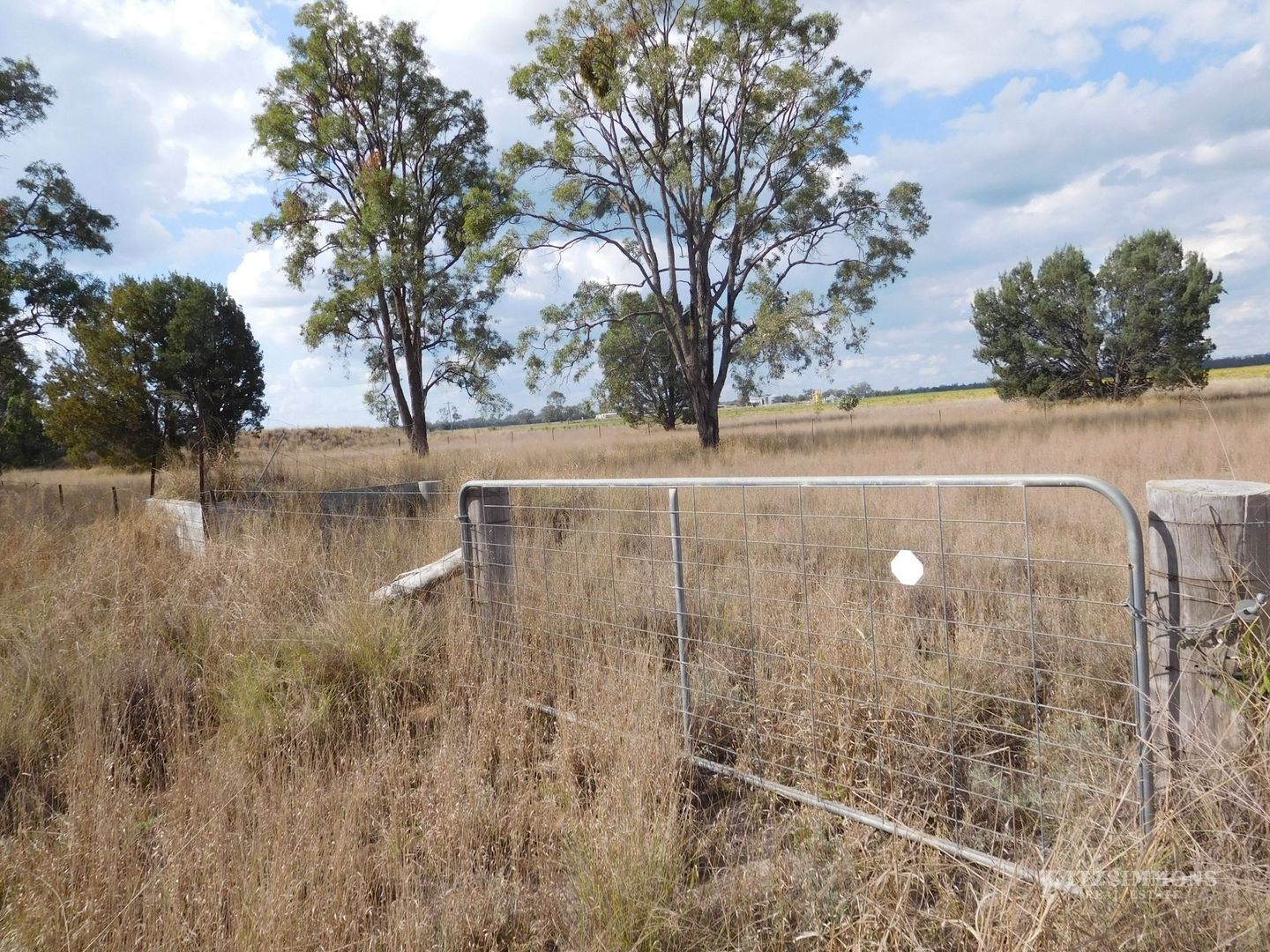 Lot 1 Ducklo School Road, Ducklo, Dalby QLD 4405, Image 1