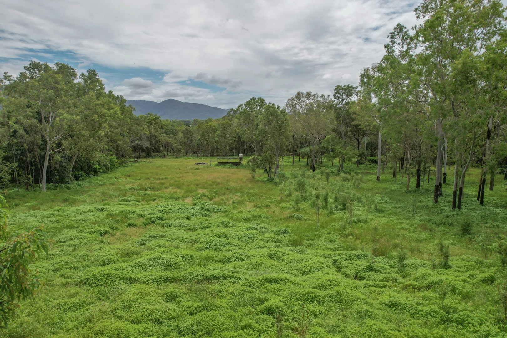 Additional image 50 of 56 Probert Road, Bambaroo QLD 4850