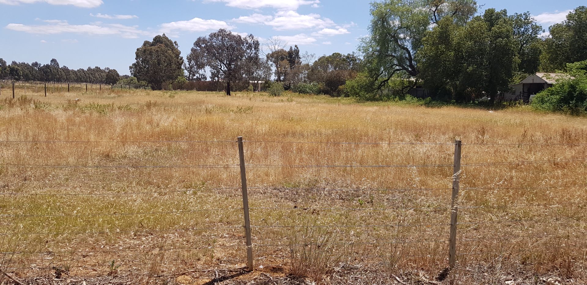 Lot 3 - 30PP5277 Simmie St, Elmore VIC 3558, Image 2