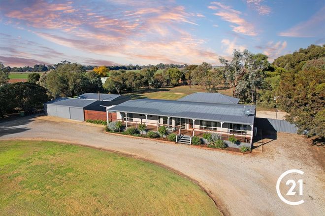 Picture of 969 Mount Terrick Road, ECHUCA VIC 3564