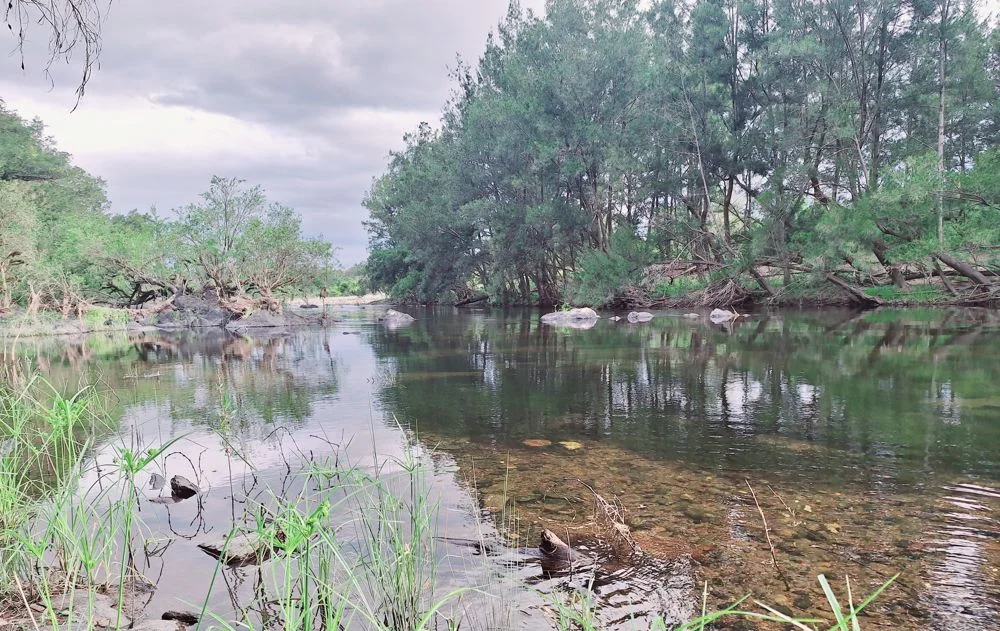 Additional image 10 of 7380 Kempsey Armidale Road, Lower Creek NSW 2440