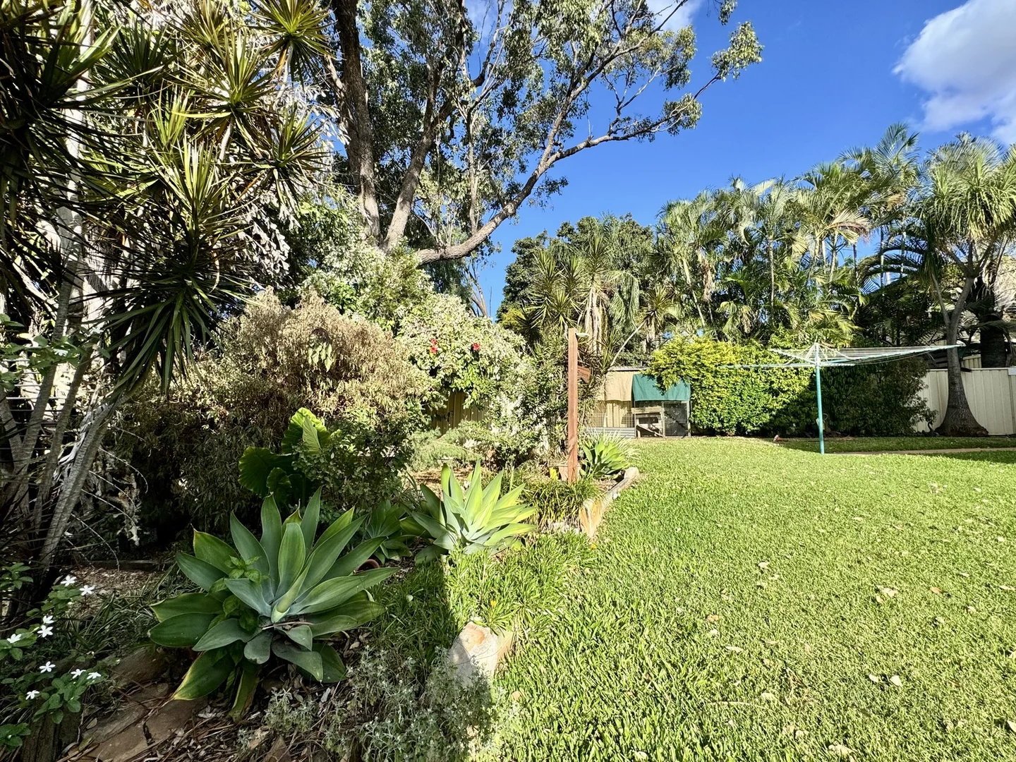 Image 15