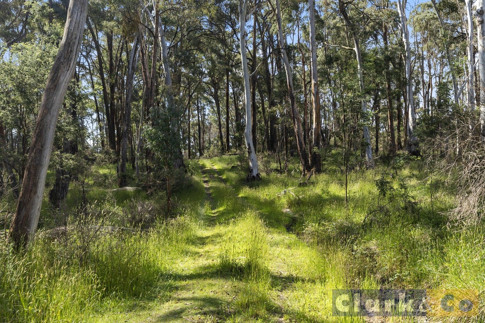 Vacant land in 2531 Mansfield-Whitfield Road, TOLMIE VIC, 3723