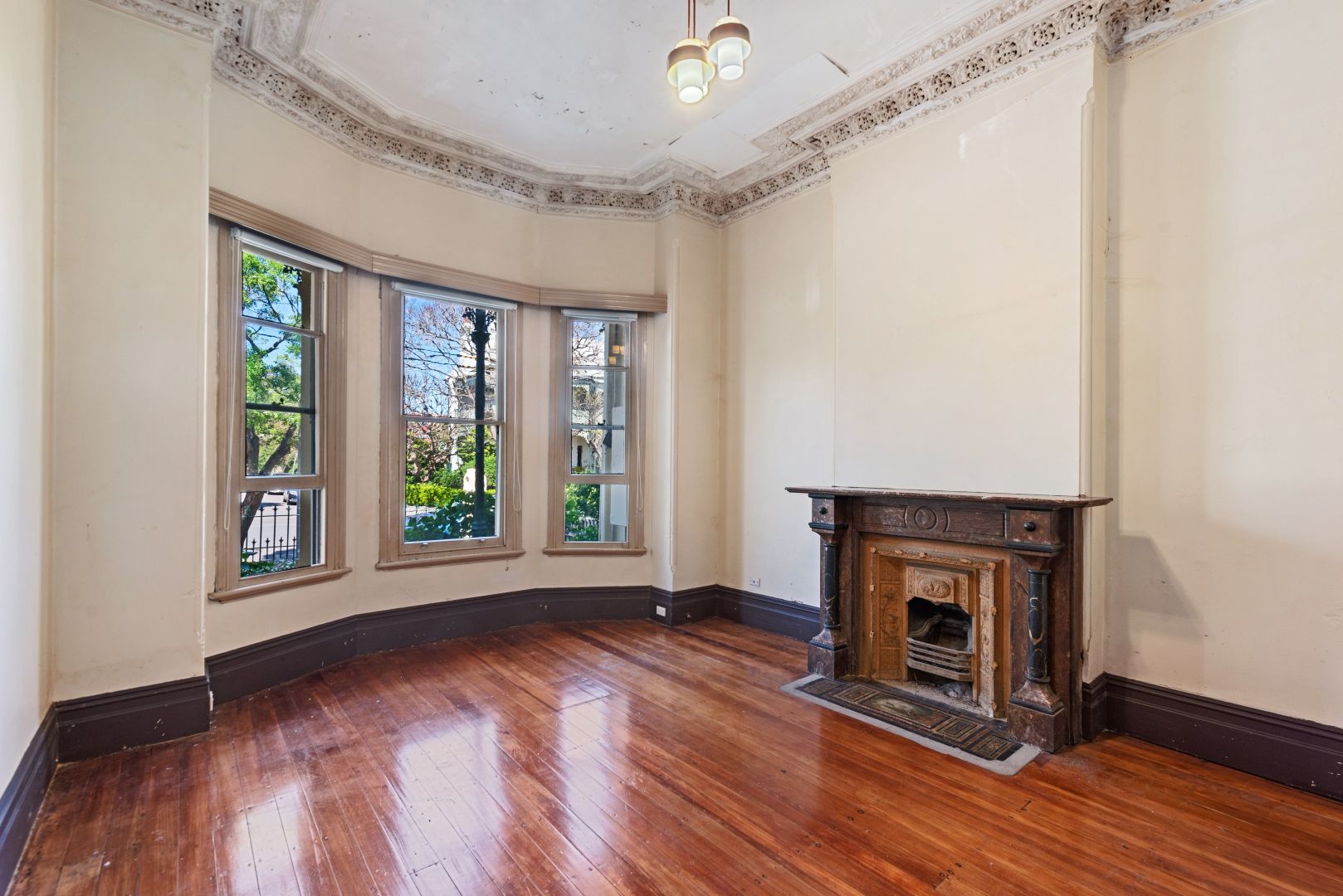 29 Toxteth Road, Glebe NSW 2037, Image 1