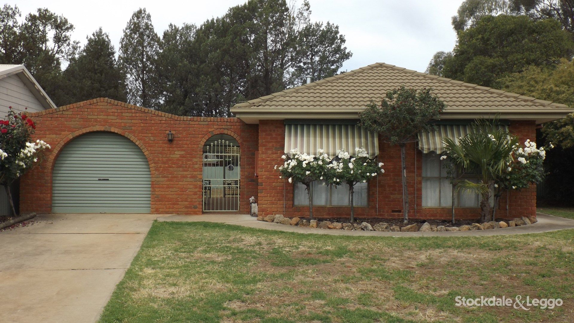 2 Jasmin Court, Corowa NSW 2646, Image 1