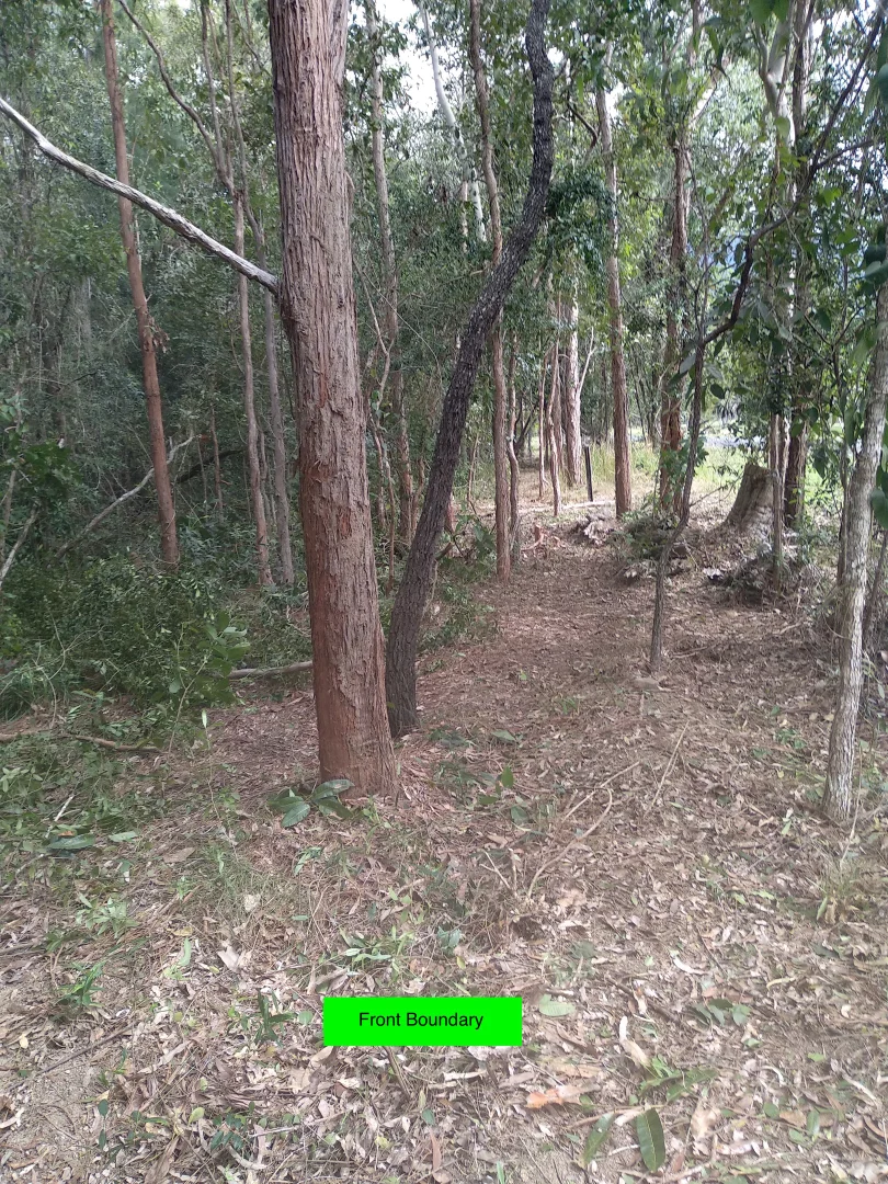 Image 10